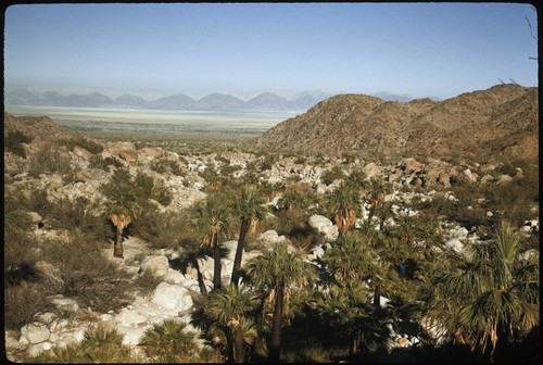 Carrizo Canyon