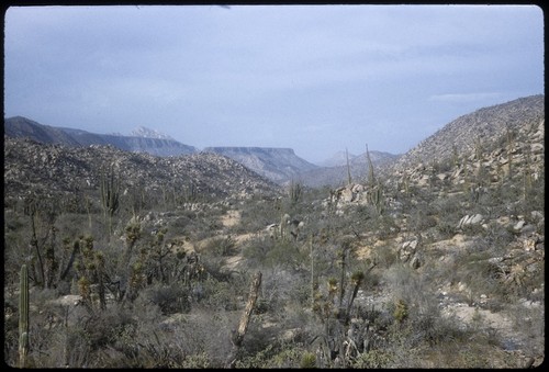 Looking northwest of Boca de Paraíso