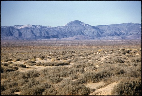 View to west from Puerto de San Francisquito