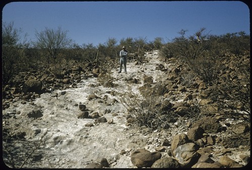 Trail north of San Ignacio