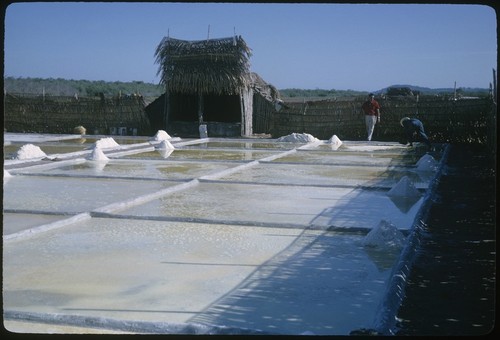 Salt works near San Blas