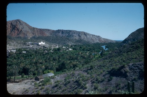 Mulege