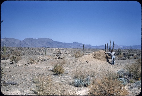 Calamajué ruins