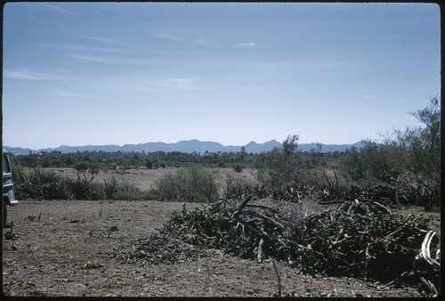 Scene from Lomas de Anita, Loreto