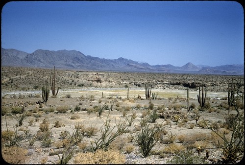 Calamajué ruins