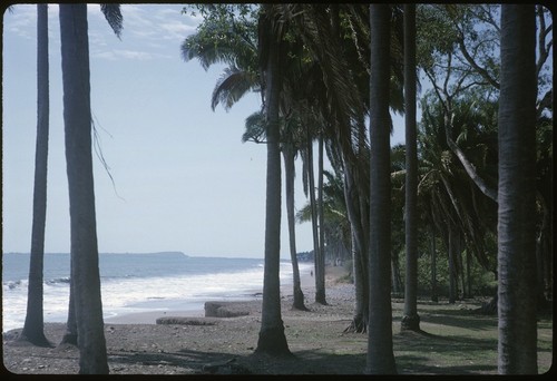 Los Cocos beach