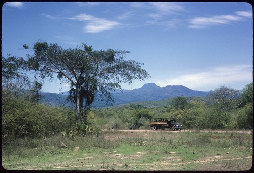 Along the road to El Venado