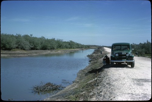 New road across Marisuras near San Blas