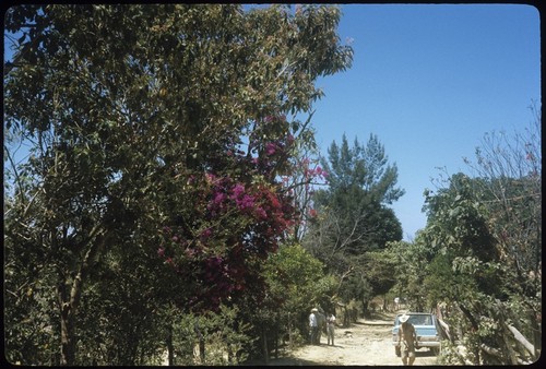 El Cuarenteño