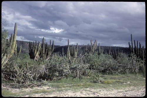 South of La Paz, past airport