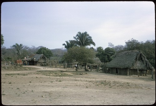 Buserías