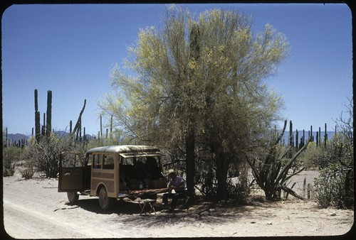 Road to Mulegé