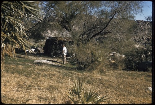 Guadalupe Canyon