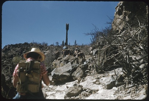 Trail near Quiñi