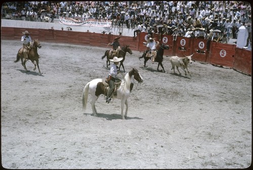 Charro events in Tepic