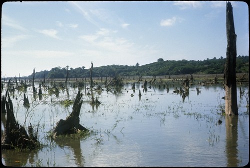 Chacalilla, northeast of San Blas, seen from estero