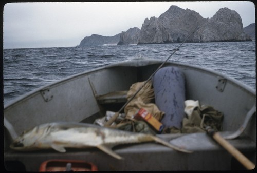 South of Cabo San Lucas