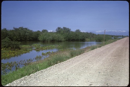 Road to Playa El Novillero