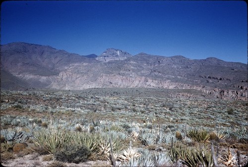 Looking north from south of upper Arroyo Grande