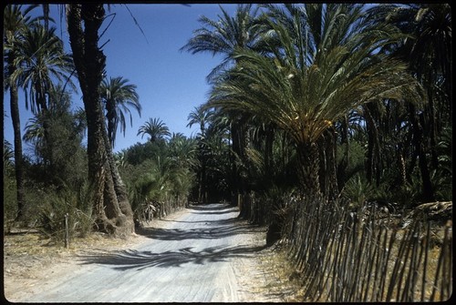 Entering San Ignacio