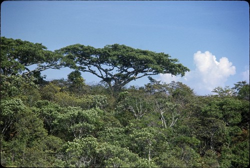 View along Highway 15, 13.6 miles north of Tepic