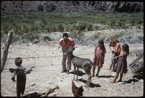 Faustino Pérez and Gerardo children with pet deer