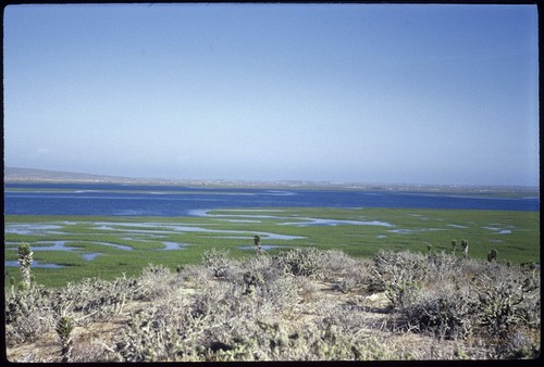 Laguna Manuela, looking north
