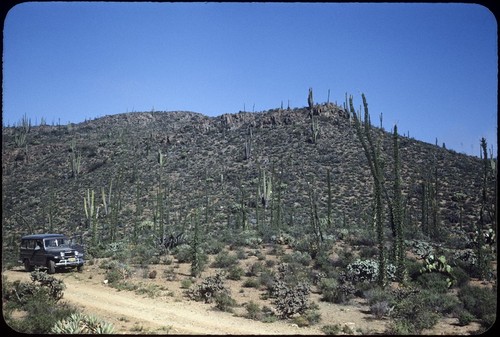 East of Aguajito grade