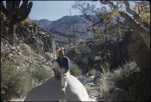 In a canyon on the south side of Sierra Calamajué