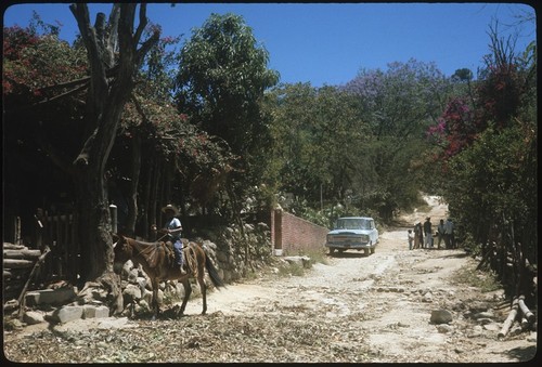 El Cuarenteño