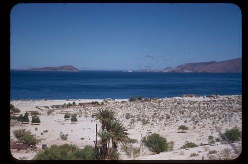 Bahia Los Angeles