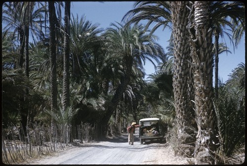 Entering San Ignacio