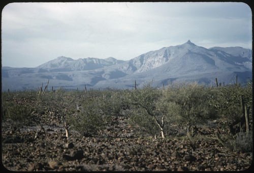 Cerro Santiago in the Sierra de San Francisco