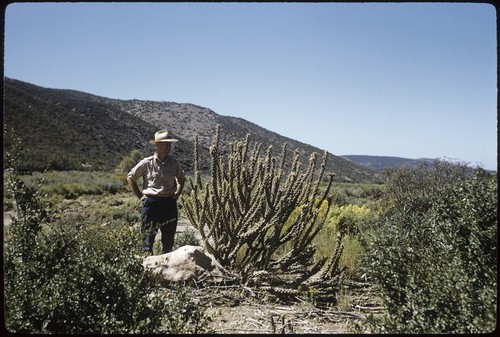 Howard Gulick near Japá, a ranch