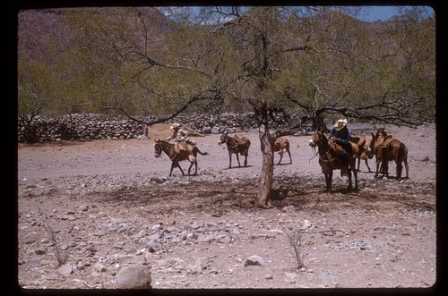 At Rancho Viejo