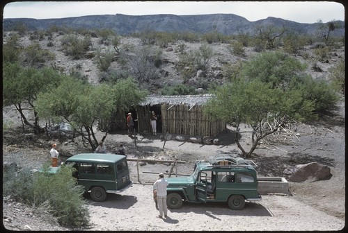 Guatamote cattle camp near "old pole line road"