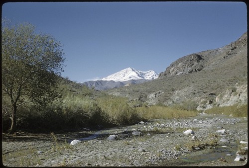 Arroyo Jacajel