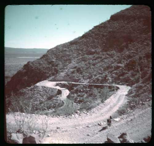 Road from San Ignacio to Santa Rosalía