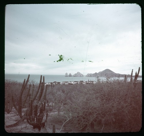 Cabo San Lucas