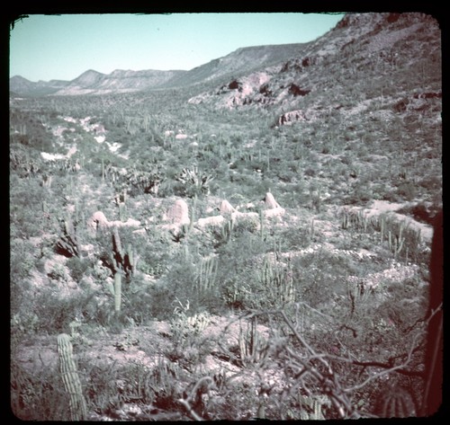 Mission Santa Gertrudis ruins