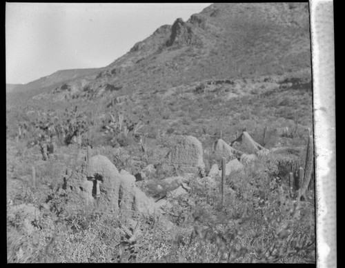 Mission Santa Gertrudis ruins