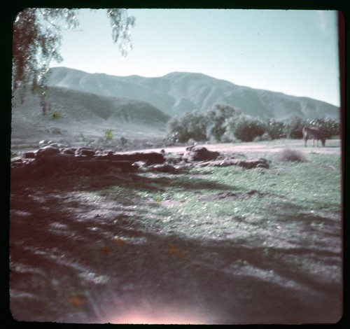 Mission Guadalupe ruins