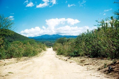 Road Between San Antonio and Los Barriles