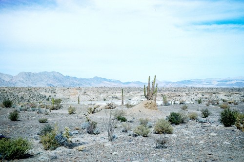 Calamyget Mission, ruins