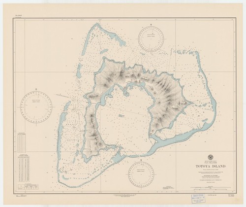 South Pacific Ocean : Fiji Islands : Totoya Island