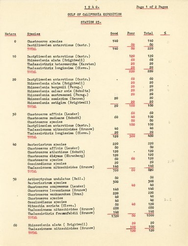 1940 Gulf of California Expedition Station 23 List of Species