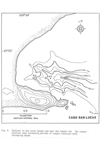 Fig. 4. Stations in San Lucas Canyon and near canyon rim. The canyon stations show increasiong periods of canyon reversals with increasing depth