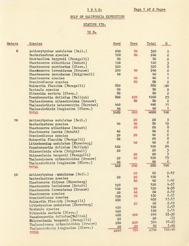 1940 Gulf of California Expedition Station 179 12 M. List of Species