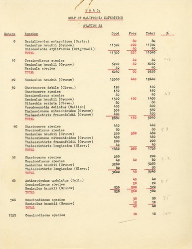 1940 Gulf of California Expedition Station 62, Station 25 List of Species