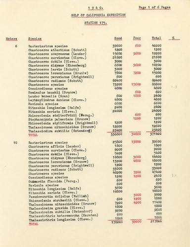 1940 Gulf of California Expedition Station 175 List of Species